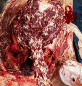 驴肉批发市场的发展如何